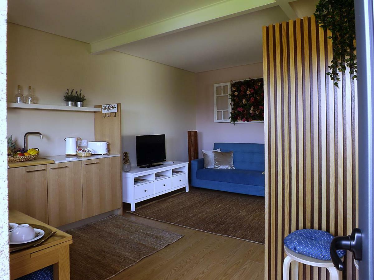Appartamento Casa Máximo Penafiel Esterno foto