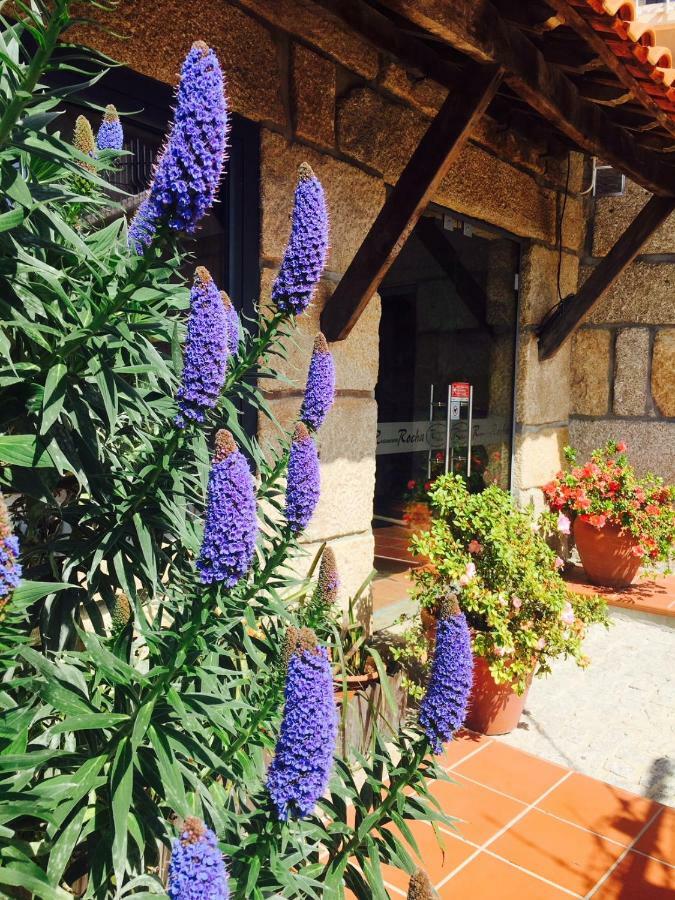 Appartamento Casa Máximo Penafiel Esterno foto