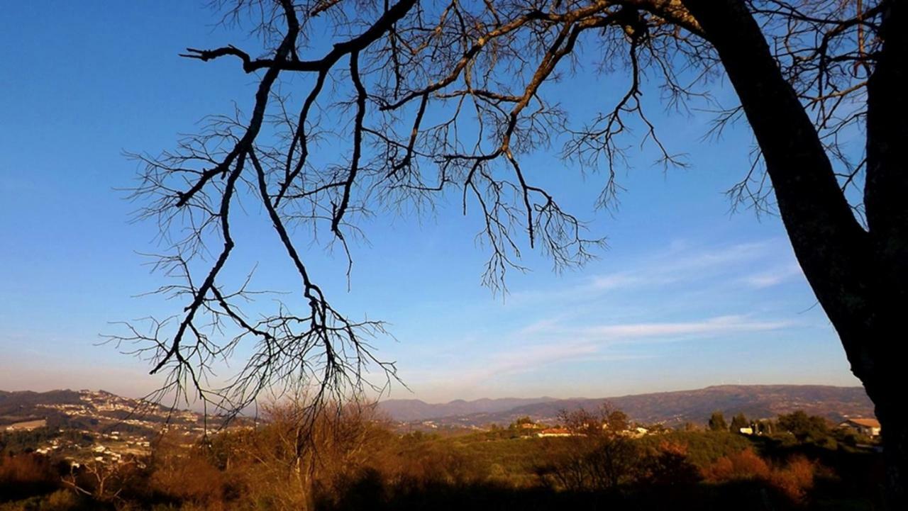 Appartamento Casa Máximo Penafiel Esterno foto